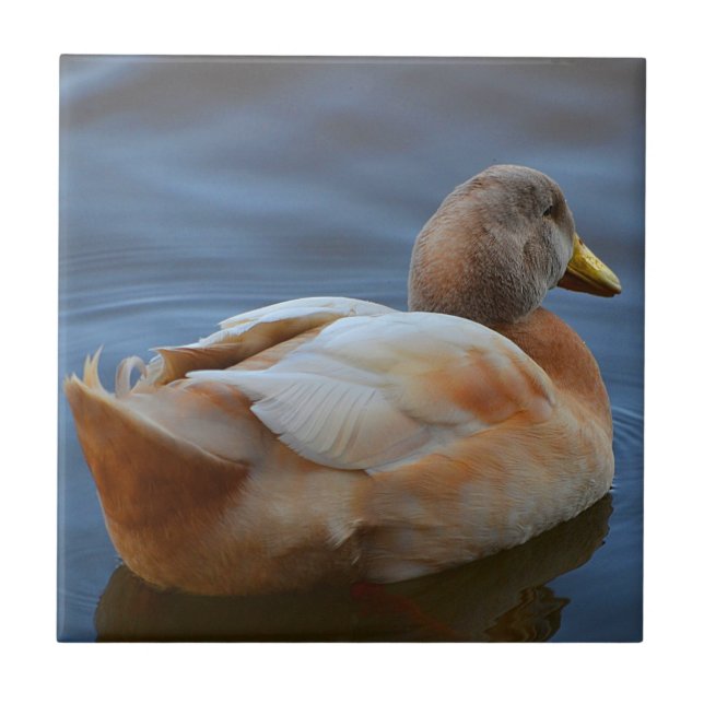 Duck Trivet Fliese (Vorderseite)
