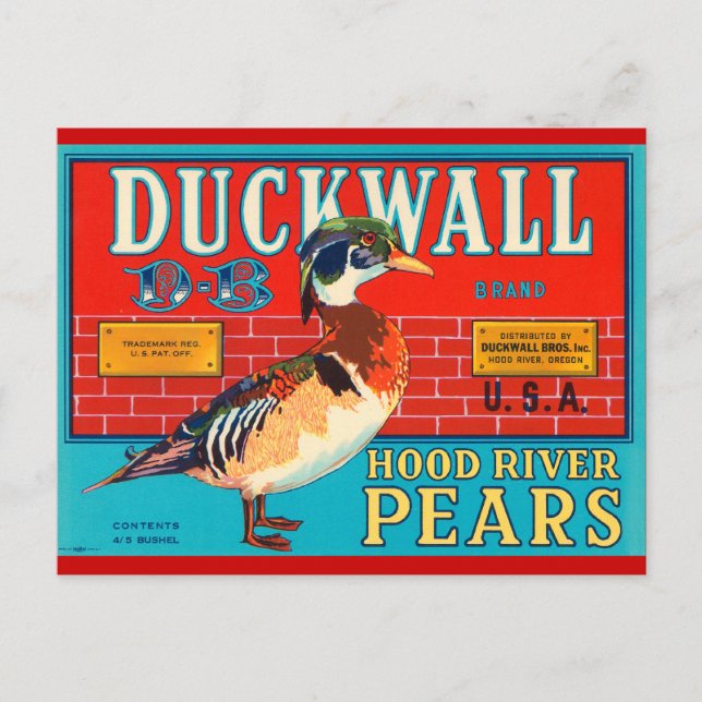 Duck Wall Hood River Pears Vintage Werbung Postkarte (Vorderseite)