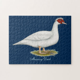 Duck White Muscovy Puzzle