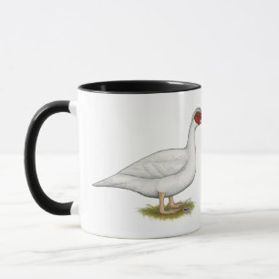 Duck White Muscovy Tasse