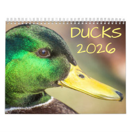 Duck Wildlife Fotografy Kalender