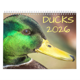 Duck Wildlife Fotografy Kalender