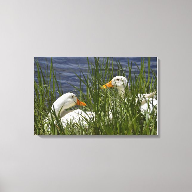 Duck Wrapped Canvas Leinwanddruck (Vorderseite)