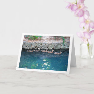 Duckbrühe in majestätischem blauen Wasser Karte