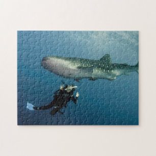 Ducken für Abdeckung? Puzzle