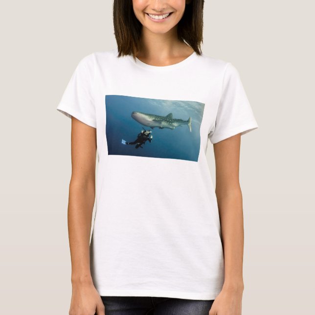Ducken für Abdeckung? T-Shirt (Vorderseite)