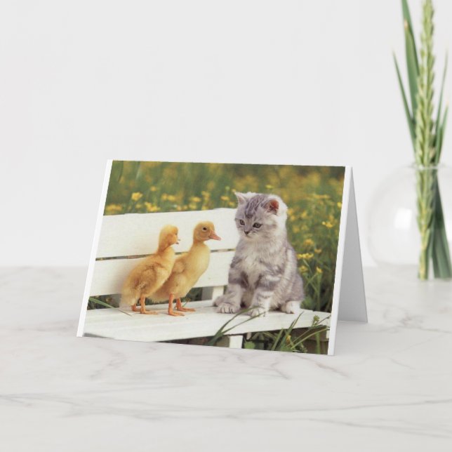 Duckheap und Freund Interview Kätzchen. Karte (Vorderseite)
