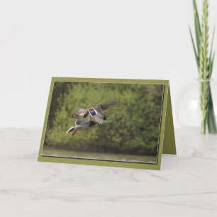 Duckkartenhalterung Karte