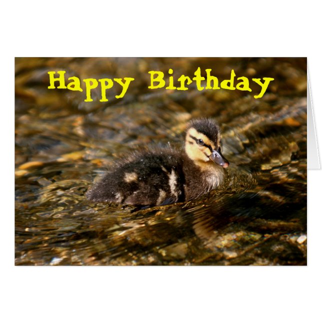 Duckling (Vorderseite (Horizontal))