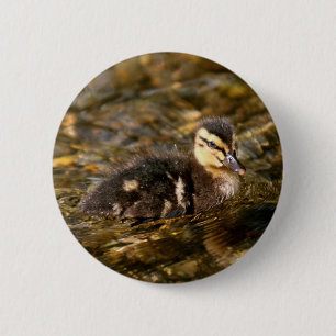 Duckling Button
