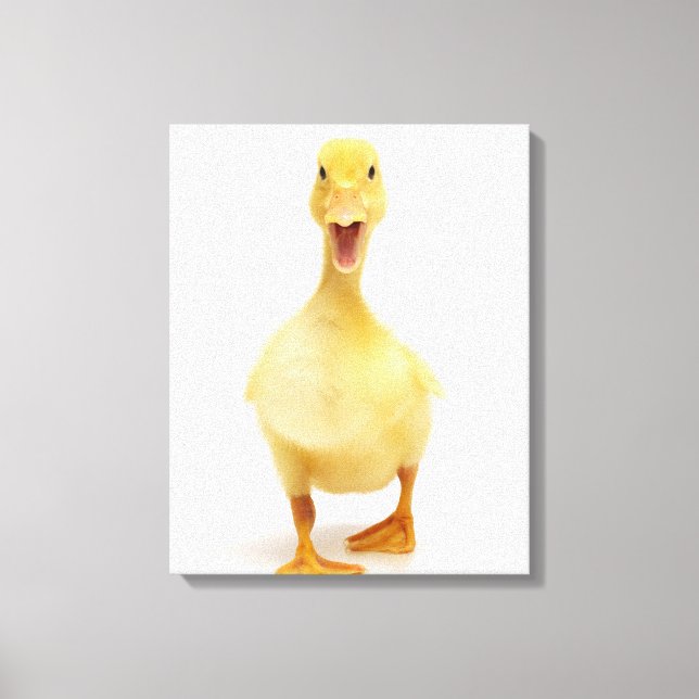 Duckling Leinwanddruck (Vorderseite)