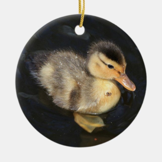Duckling Ornament (Vorne)