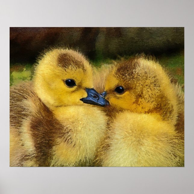 Duckling Poster (Vorne)