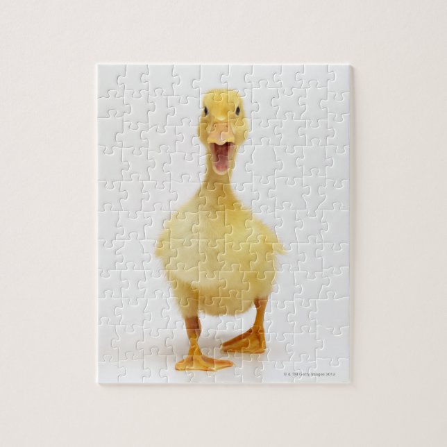 Duckling Puzzle (Vertikal)
