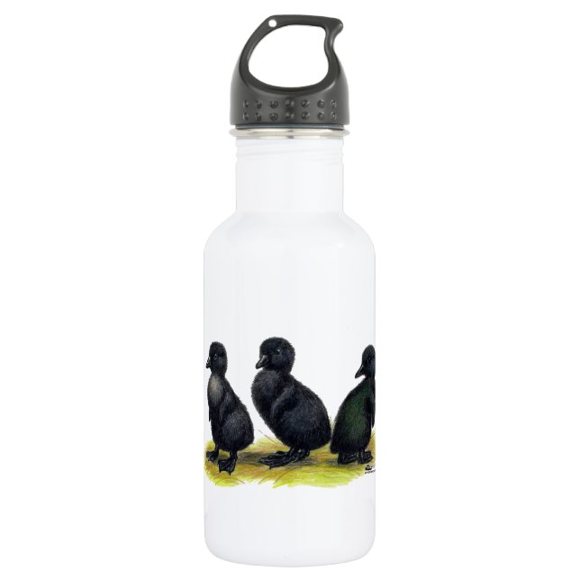 Ducklings Black Cayuga Trinkflasche (Vorderseite)
