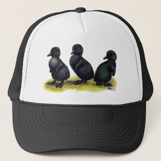 Ducklings Black Cayuga Truckerkappe (Vorderseite)