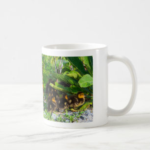 Ducklings Foto Tasse