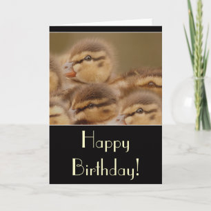 Ducklings Geburtskarte Karte