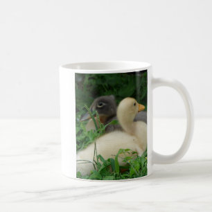 Ducklings Kaffeetasse