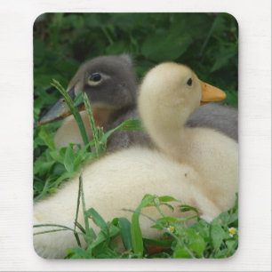 Ducklings Mousepad