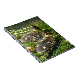 Ducklings-Notebook Notizblock