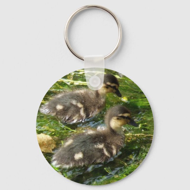 Ducklings Postkarte Schlüsselanhänger (Vorderseite)