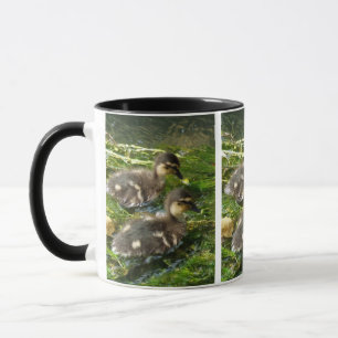 Ducklings-Tasse Tasse