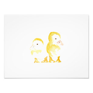 Ducklings Watercolor Fotodruck