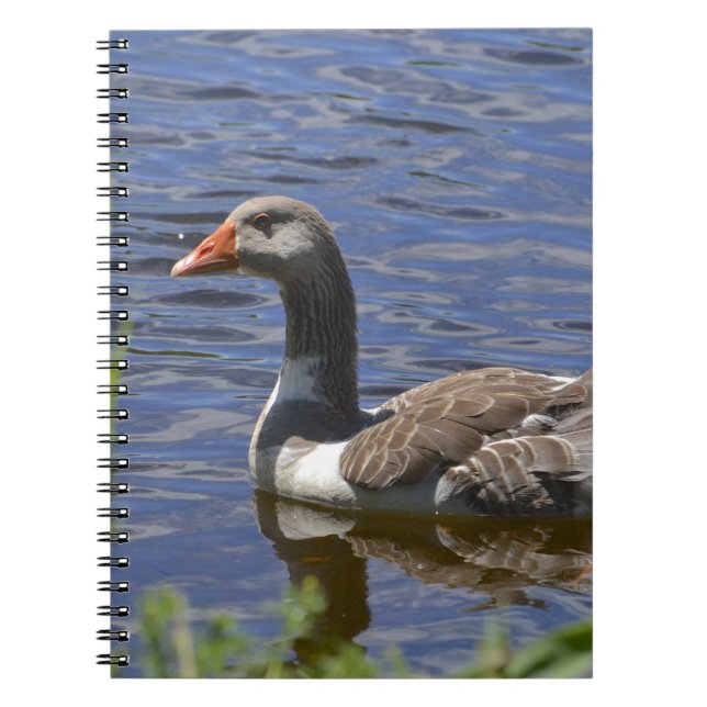 DuckNotebook Notizblock (Vorderseite)