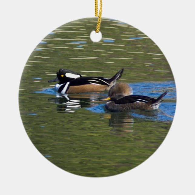 Duckpartei Keramikornament (Vorne)