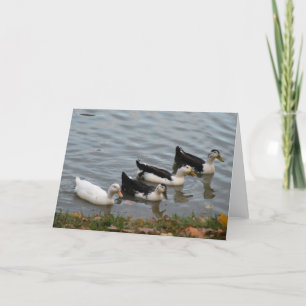 Ducks in a Row greeting card Karte