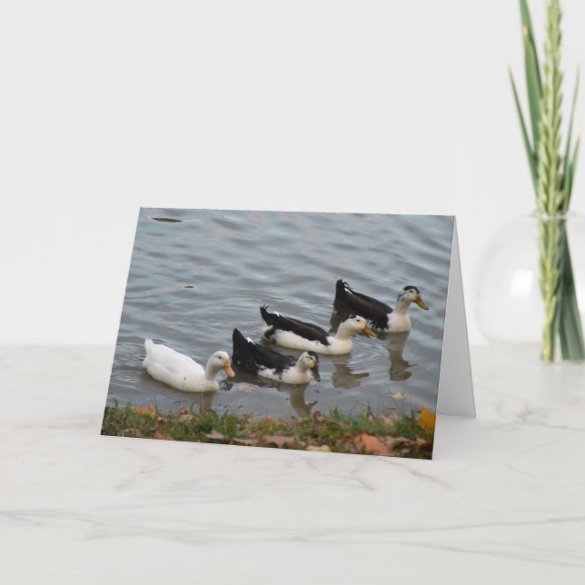 Ducks in a Row greeting card Karte (Vorderseite)