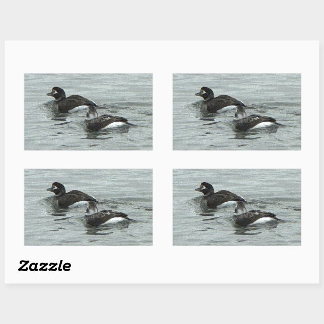 Ducks in Ocean Photo Stickers (Blatt)