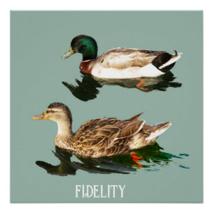 Ducks mallards essbare Zuckerguss Runden Poster