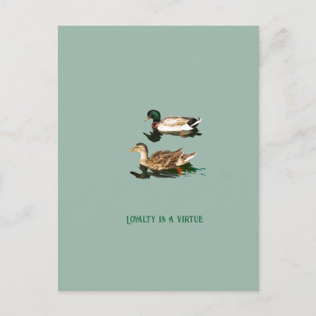 Ducks mallards feiertagspostkarte (Vorderseite)
