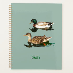 Ducks mallards planer
