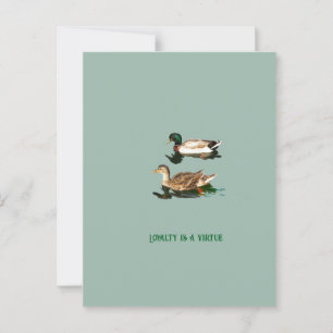 Ducks mallards postkarte