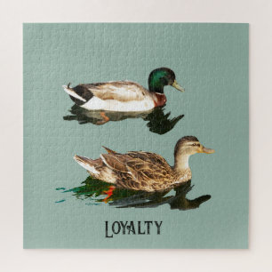 Ducks mallards puzzle