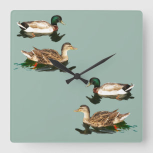 Ducks mallards quadratische wanduhr