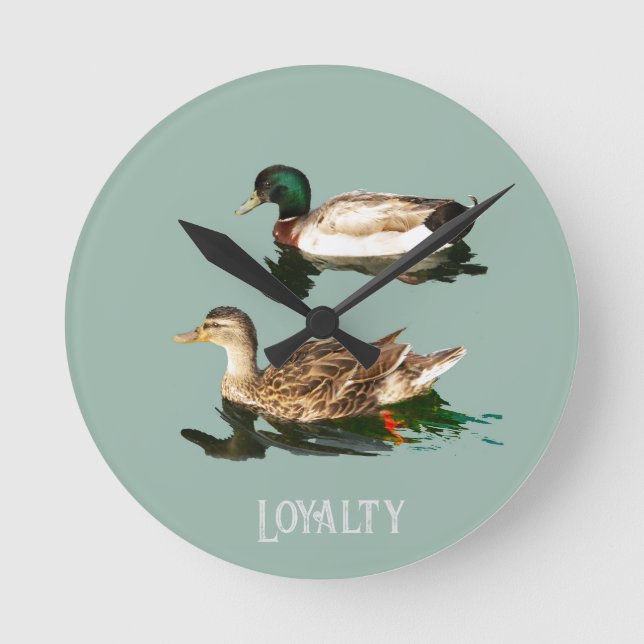 Ducks mallards runde wanduhr (Vorderseite)