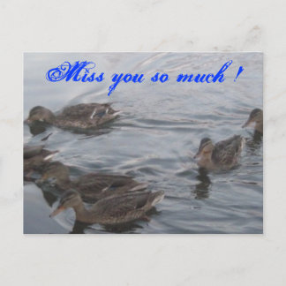 DUCKS POSTKARTE