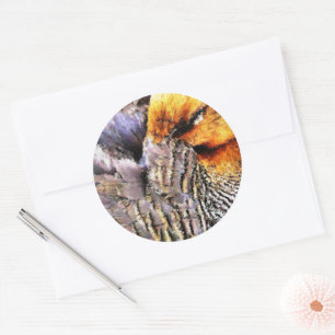 DUCKS RUNDER AUFKLEBER