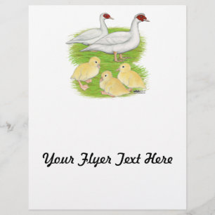 Ducks White Muscovy Family Flyer