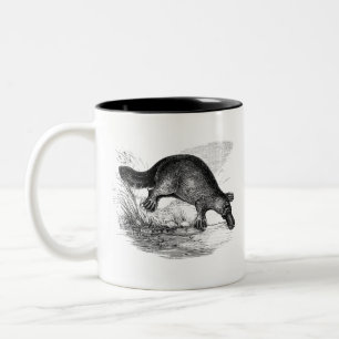 Duckschildkröte Schwarz-Weiß-Zeichn Zweifarbige Tasse