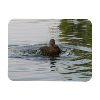 Duckschütteln Magnet