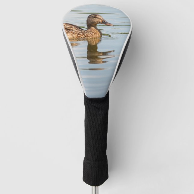 Duckschwimmen Golf Headcover (Vorderseite)