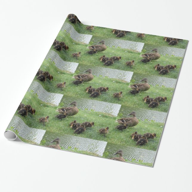 Duckt Geschenk-Packpapier Geschenkpapier (Ungerollt)
