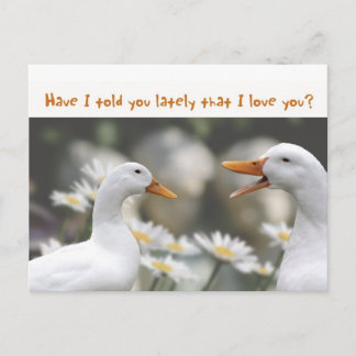 DucktoDuckLove Postkarte