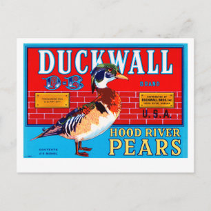 Duckwall Hood River Pears Postkarte