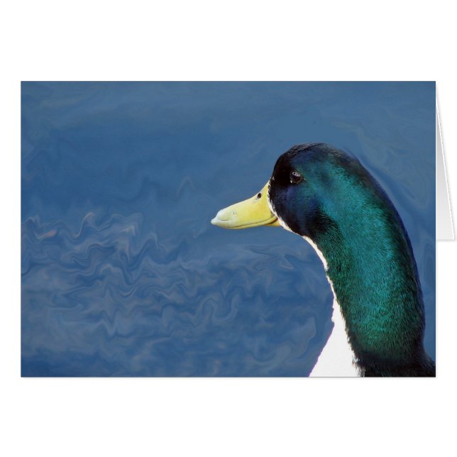 Ducky (Vorderseite (Horizontal))